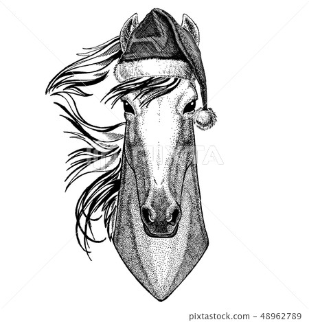 Horse, hoss, knight, steed, courser wearing christmas Santa Claus hat. Hand drawn image for tattoo Horse, hoss, knight, steed, courser wearing christmas Santa Claus hat. Hand drawn image for tattoo 48962789