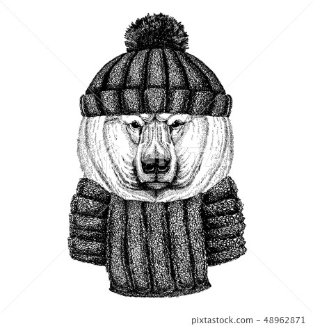 Big polar bear, White bear Cool animal wearing knitted winter hat. Warm headdress beanie Christmas 48962871