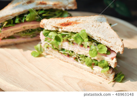 sandwich, ham and cheese sandwich 48963148