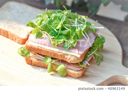 sandwich, ham and cheese sandwich 48963149
