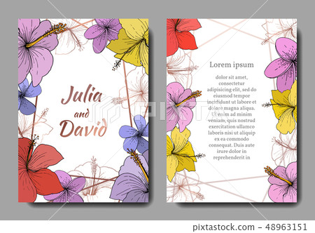 Vector Hibiscus floral tropical flowers. Engraved ink art. Wedding background card floral decorative 48963151