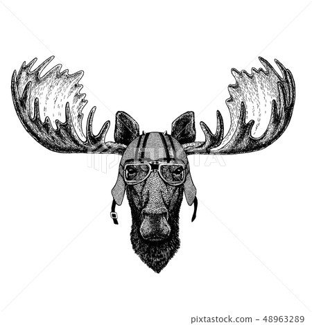 Moose, elk wearing a motorcycle, aero helmet. Hand drawn image for tattoo, t-shirt, emblem, badge Moose, elk wearing a motorcycle, aero helmet. Hand drawn image for tattoo, t-shirt, emblem, badge 48963289