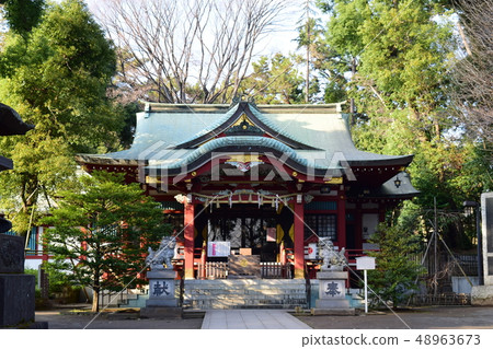 Nakano-ku,Tokyo Higashinakano Hikawa Shrine Nakano-ku,Tokyo Higashinakano Hikawa Shrine 48963673