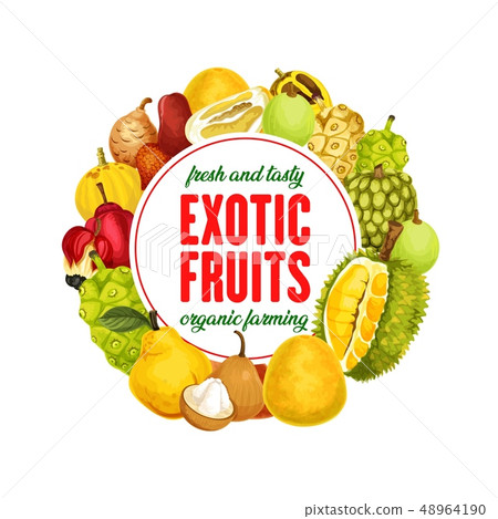 Exotic fruits isolated vector banner 48964190