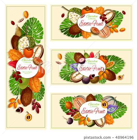 Exotic fruits, tropical garden food banners 48964196