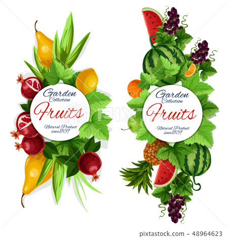 Garden fruits, grape with leaves isolated banner 48964623