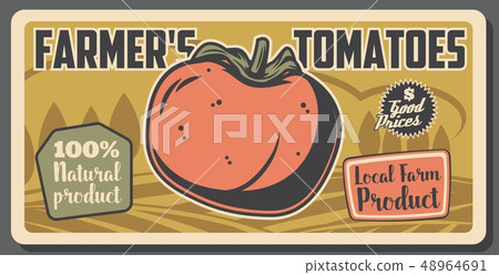 Tomato farming and agriculture vegetable Tomato farming and agriculture vegetable 48964691