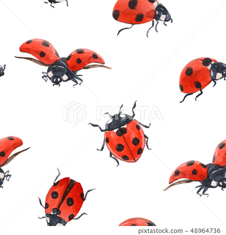Watercolor ladybug seamless vector pattern Watercolor ladybug seamless vector pattern 48964736
