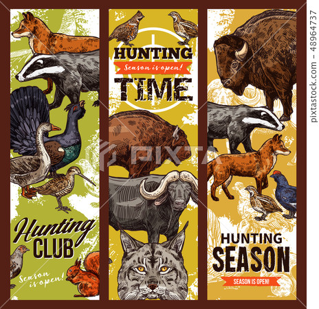 Hunting time, birds and animals Hunting time, birds and animals 48964737