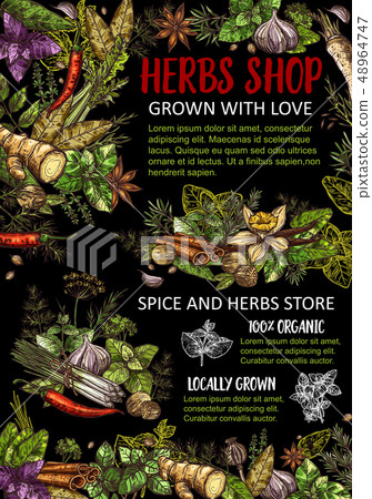 Condiments, herb seasonings, spices. Vector Condiments, herb seasonings, spices. Vector 48964747