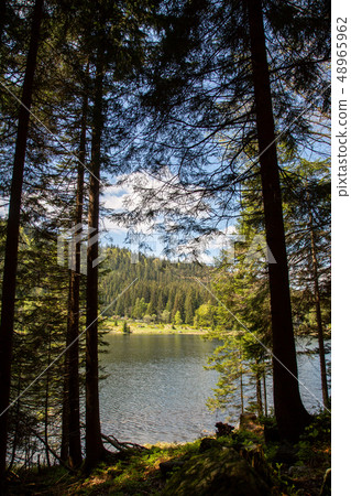 Landscape at the small Arbersee in Bavaria Landscape at the small Arbersee in Bavaria 48965962