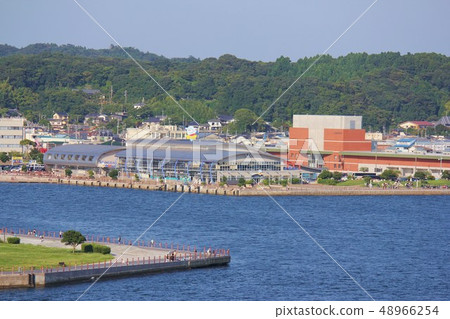 Iwaki la la mew 48966254