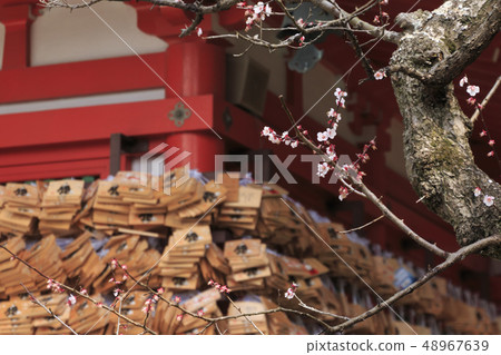 Ebata Tenshin公司 48967639