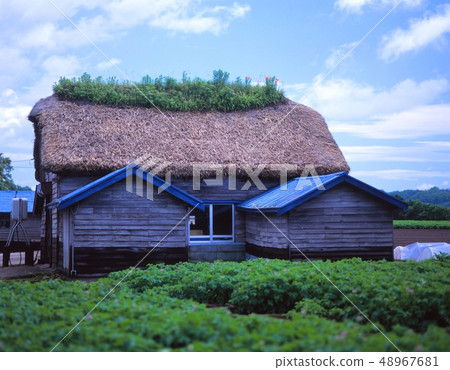 Taking pictures of the early summer landscape of thatched roofed houses in Ayabe-cho, Hokkaido Taking pictures of the early summer landscape of thatched roofed houses in Ayabe-cho, Hokkaido 48967681