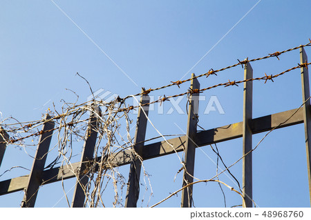 Iron fence and barbed wire 48968760