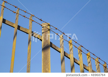 Iron fence and barbed wire 48968764