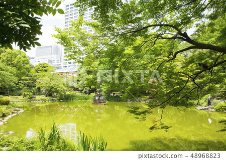 Hibiya Park Ungata Pond Hibiya Park Ungata Pond 48968823