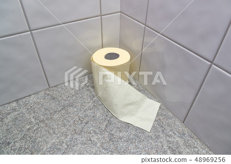 Toilet paper in the corner 48969256