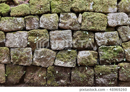 Old Stone Wall 48969260