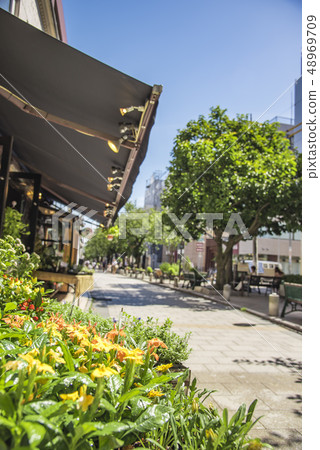 [Jiyugaoka Kujinbutsugawa Green Road] 48969709