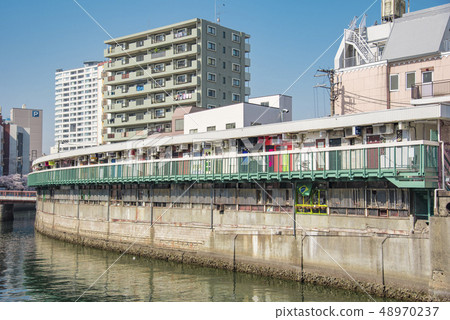 [Ookagawa Harmonica Yokocho Somei Yoshino] 48970237