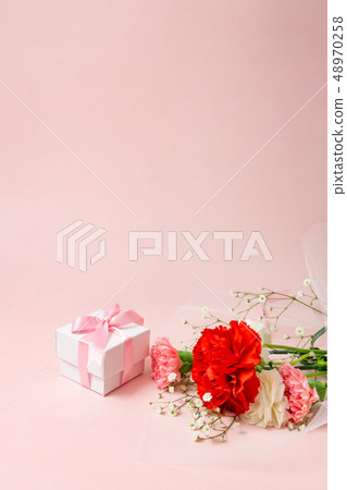 [Mother's Day] Carnation bouquet and gift box 48970258