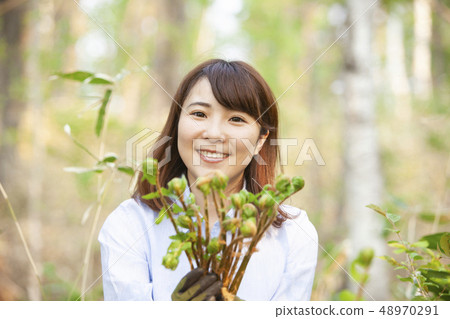 A woman who takes wild vegetables 48970291