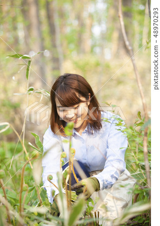 一個女人誰採取野菜 一個女人誰採取野菜 48970293