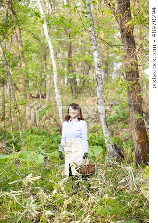 A woman who takes wild vegetables 48970294