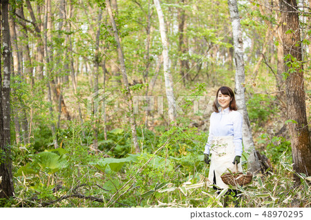 A woman who takes wild vegetables 48970295