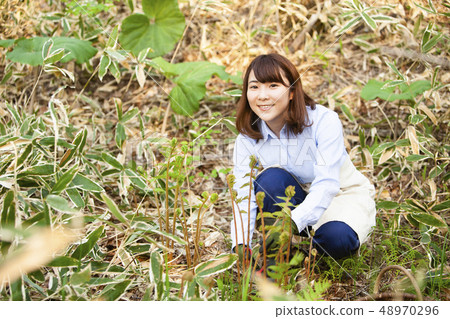 A woman who takes wild vegetables 48970296