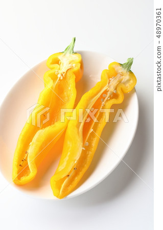 Yellow Palermo cross section 48970361