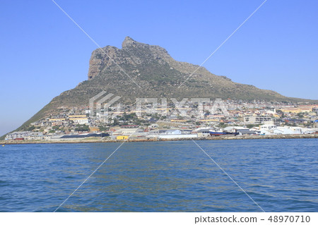 開普敦（南非） 48970710