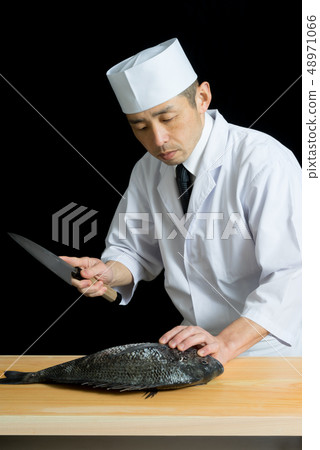 Before the fish handling board 48971066