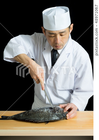 Before the fish handling board Before the fish handling board 48971067