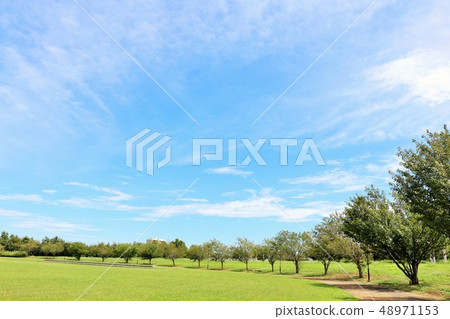 公園風景的城市與清新的藍天 公園風景的城市與清新的藍天 48971153