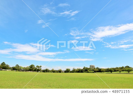 公園風景的城市與清新的藍天 48971155