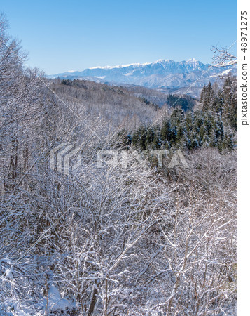 長野縣白馬村雪山雪景 48971275