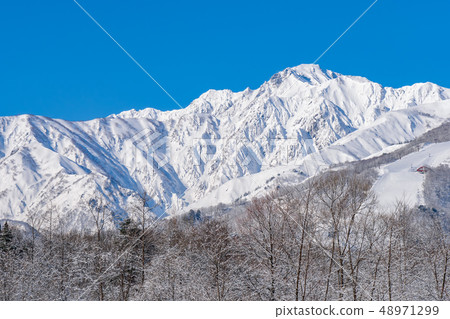 Nagano Prefecture Hakuba Village Snow Mountain Snow Scene 48971299