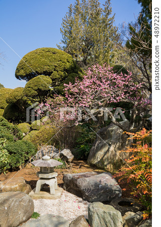 Japanese garden Japanese garden 48972210