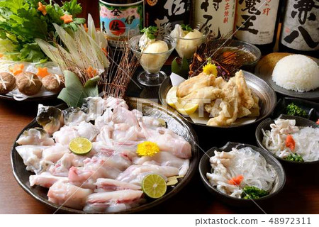 Japanese-Fugu hot pot dishes Japanese-Fugu hot pot dishes 48972311