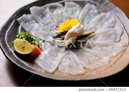Japanese-Fugu hot pot dishes 48972313