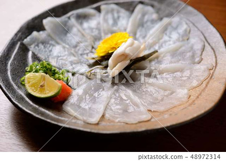 Japanese-Fugu hot pot dishes 48972314