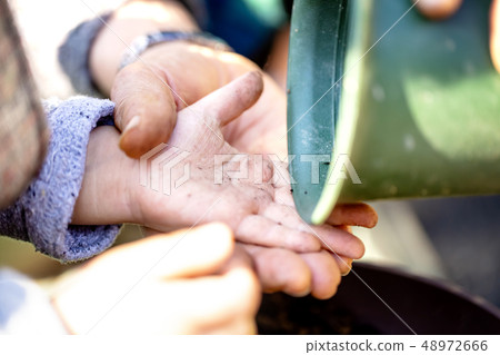 Children's hands and adult hands to take soil from potted plants 48972666
