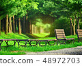 Beautiful scenery with beautiful and fantastic green forest trails, benches and chairs, surrounded by trees 48972703