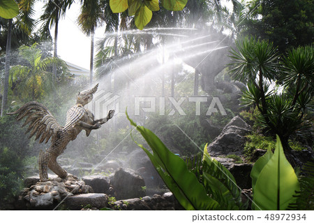 Take photo the  Buddha  image in paradise 48972934