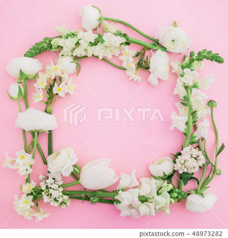 Floral pastel frame made of white flowers on pink Floral pastel frame made of white flowers on pink 48973282
