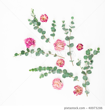 Floral composition of pink flowers and eucalyptus Floral composition of pink flowers and eucalyptus 48973286
