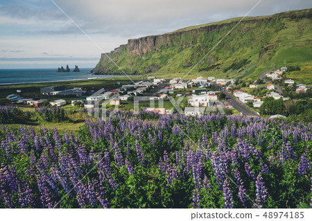 Beautiful town of Vik i Myrdal Iceland in summer. 48974185