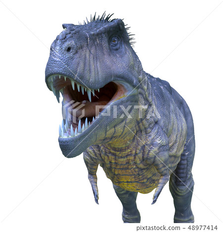 dinosaur dinosaur 48977414